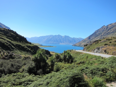 New Zealand cycling trip